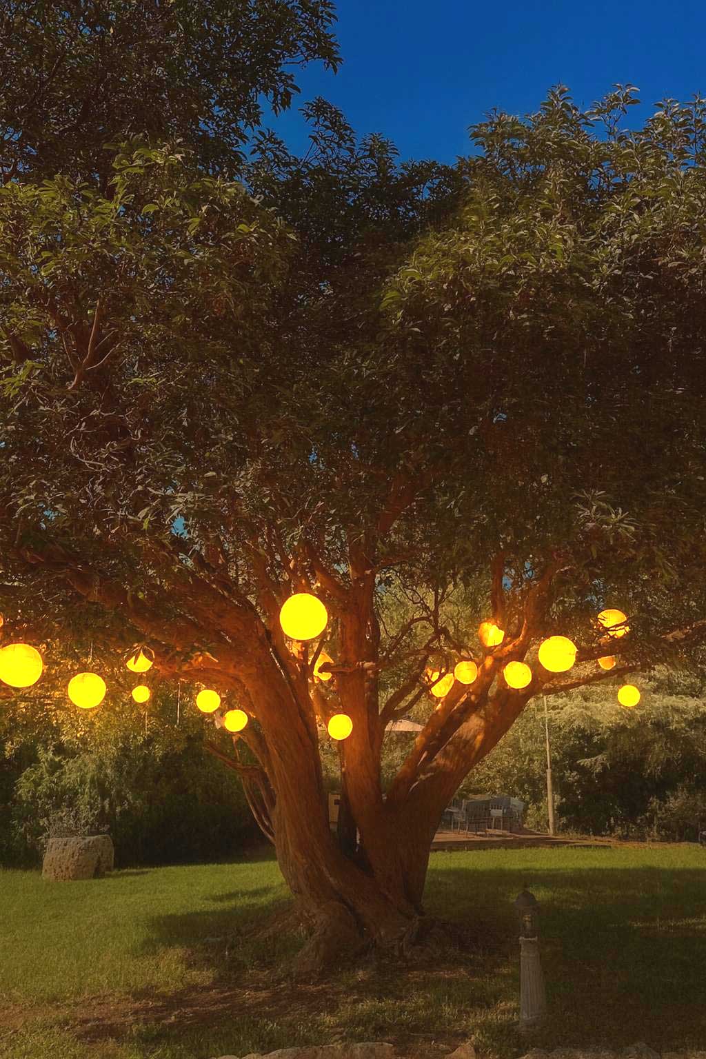 חנוכה קסום במלון יערים שבהרי ירושלים